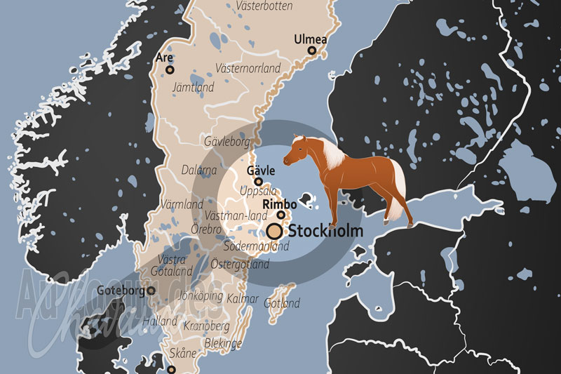 La localisation de Rimbo en Su�de