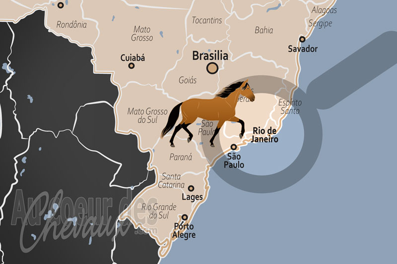 La localisation de Rio de Janeiro au Br�sil