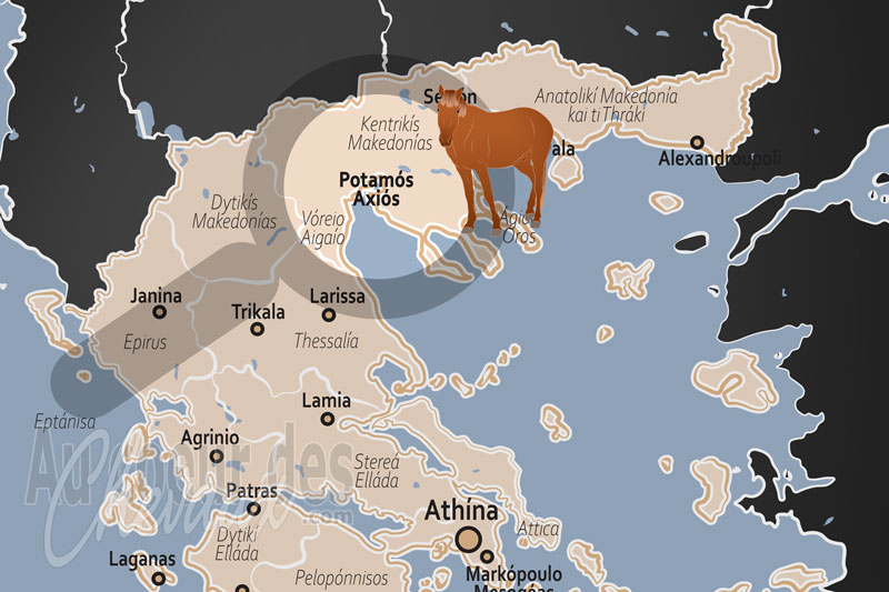 La Rivi�re Axios, le galop des crins sauvages au c?ur du delta de mac�doine