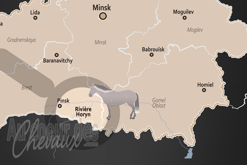 La Rivi�re Horyn, le galop des crins sur le ruban d'�meraude de la pol�sie