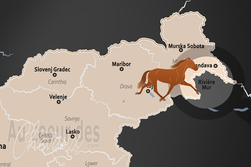 La localisation de la Rivi�re Mur en Slov�nie