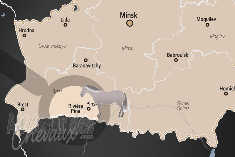 La localisation de la Rivi�re Pina en Bi�lorussie