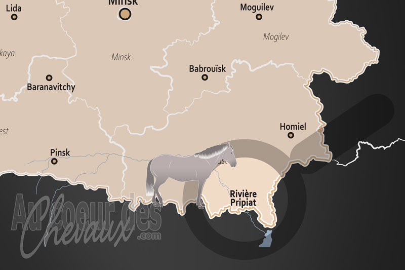 La Rivi�re Pripiat, le galop des fant�mes et la renaissance sauvage au c?ur des marais