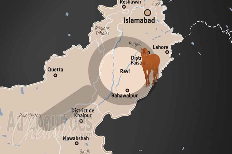 La Rivi�re Ravi, le galop mill�naire entre les cimes de l'himalaya et les plaines du pendjab