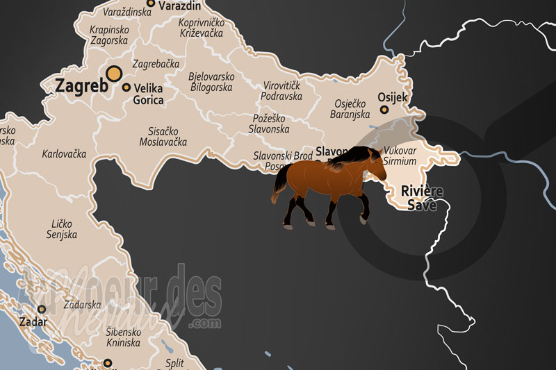 La localisation de la Rivi�re Save en Croatie