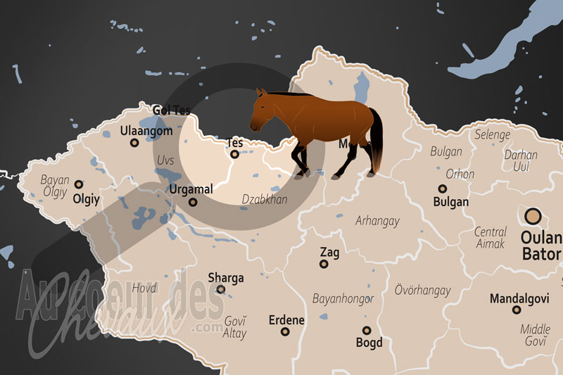 La localisation de la Rivi�re Tes en Mongolie