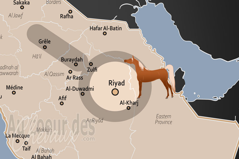 La localisation dans le monde de Riyad en Arabie Saoudite