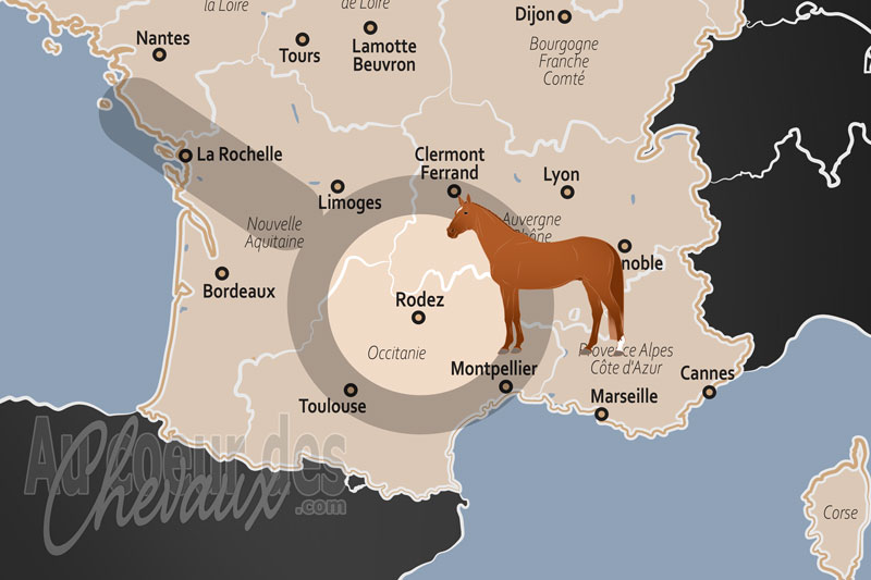 Rodez, une cit� �questre entre tradition des haras et renouveau territorial