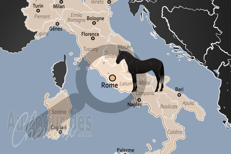 Rome, l'�ternelle symbiose entre urbanit� majeure et culture �questre