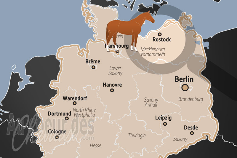 La localisation de Rostock en Allemagne