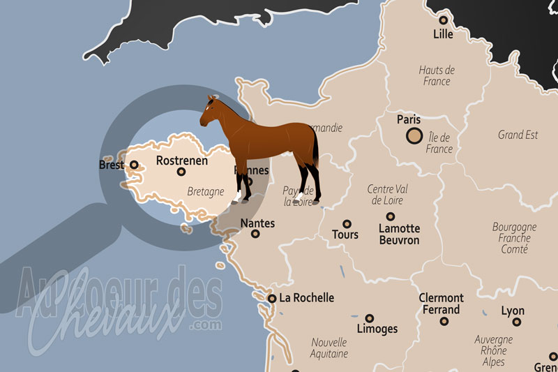 La localisation de Rostrenen en France