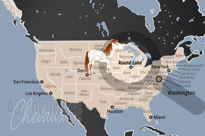 La localisation de Round Lake aux �tats Unis