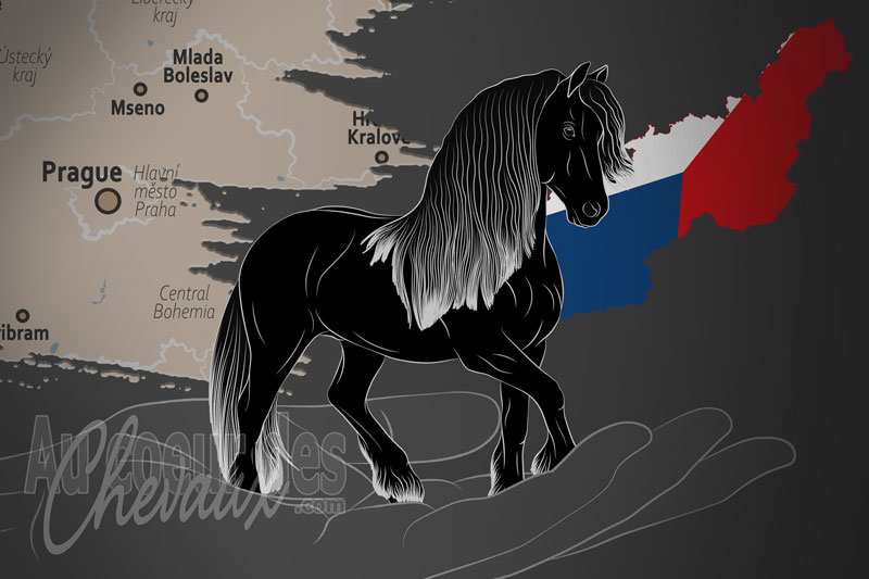 Le Frison royal de Tch�quie, un organisme de gestion du frison en tch�quie