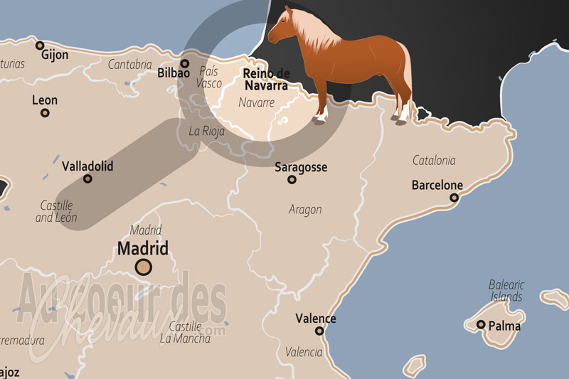 Le Royaume de Navarre, des sommets pyr�n�ens aux terres rouges du sud