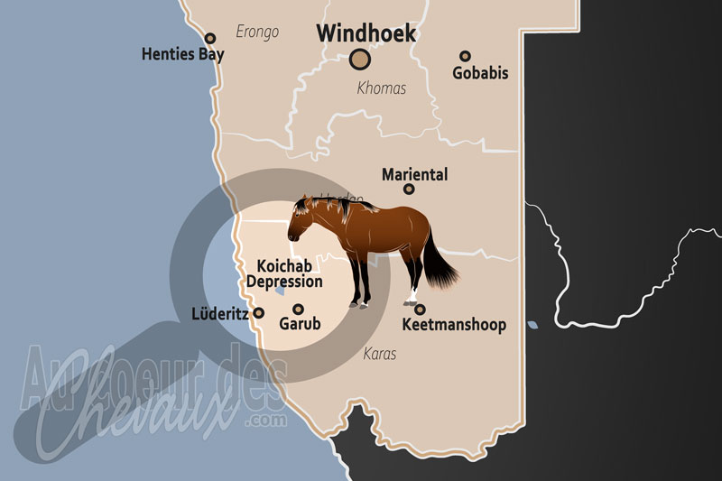 Le Ruisseau du Koichab, les fant�mes de sable du d�sert du namib