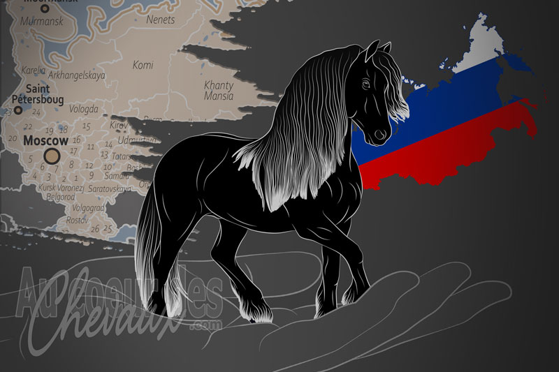 La Russian Friesian Association un organisme de race en Russie