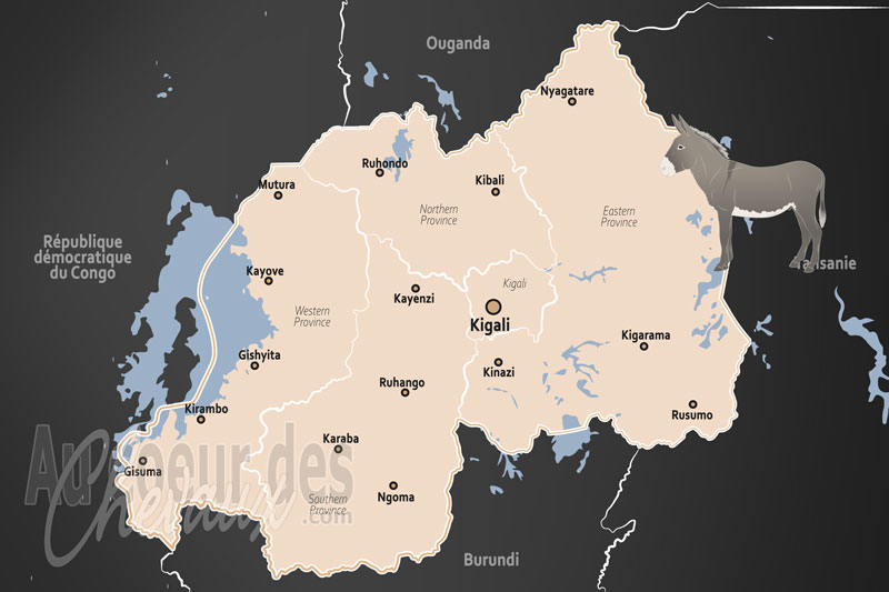 Le Rwanda, une pr�sence �mergente au pays des mille collines