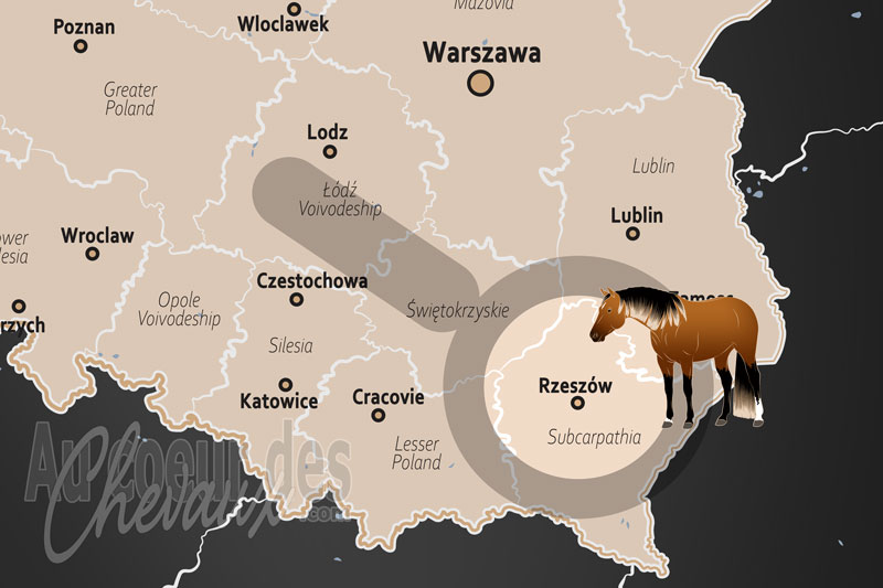 Rzesz�w, le c?ur �questre de la vo�vodie des basses-carpates