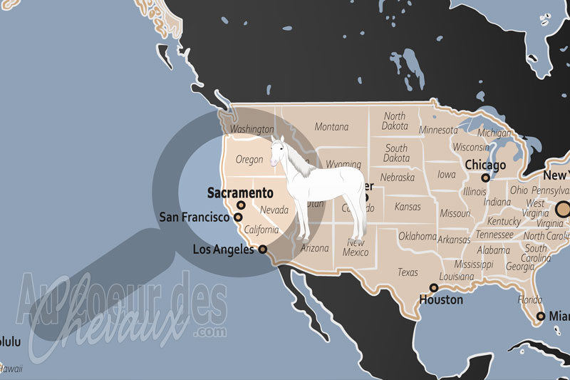 Sacramento, un carrefour historique et institutionnel de la fili�re �quine californienne