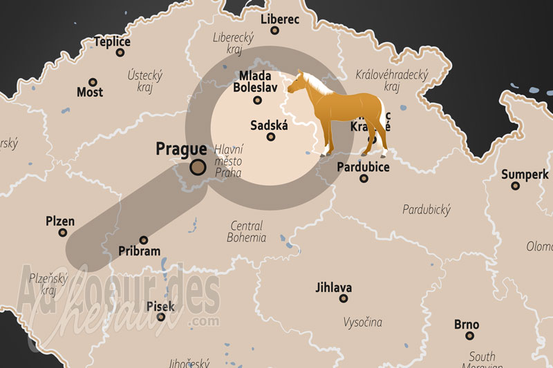 Sadsk�, un p�le �questre strat�gique au c?ur de la plaine de l'elbe