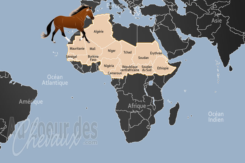 Le Sahel, l'�pop�e des �quid�s au c?ur du sahel