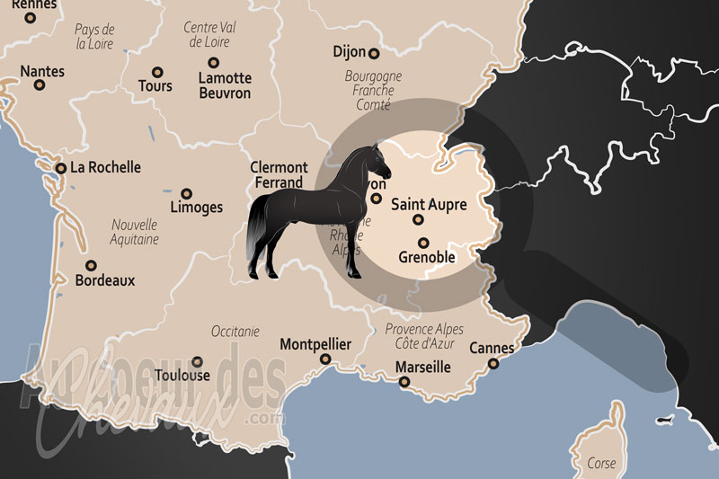 Saint Aupre, une tradition �questre au c?ur du pi�mont chartrousin