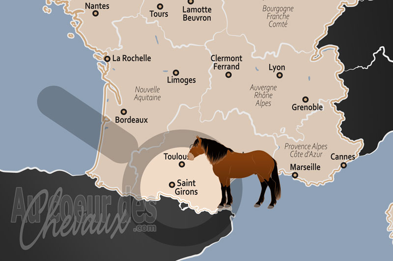 Saint Girons, capitale du couserans et sanctuaire des races pyr�n�ennes