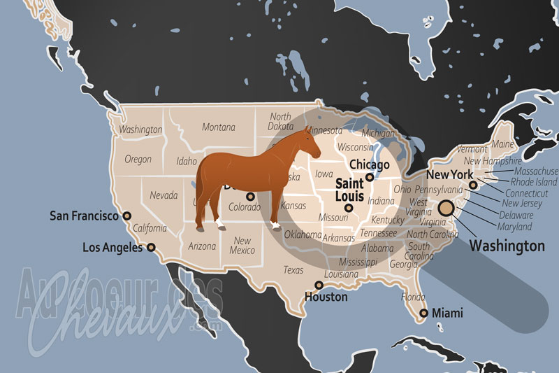 La localisation de Saint Louis aux �tats Unis