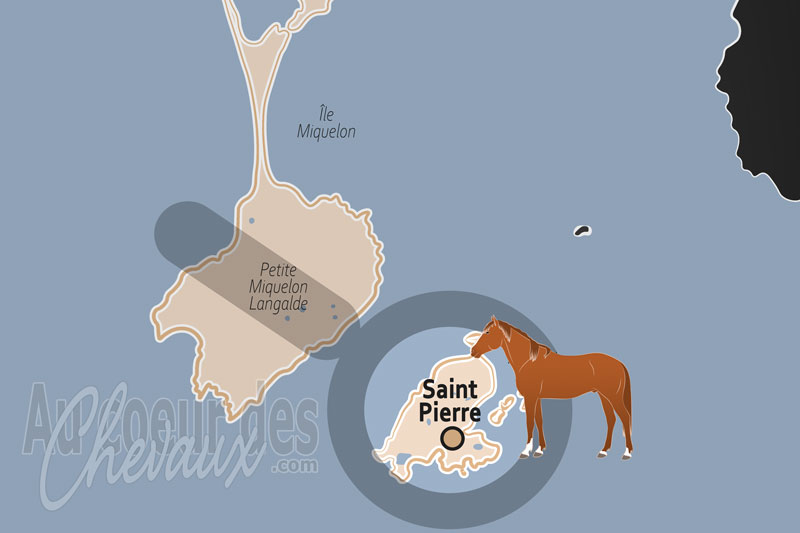 La localisation de Saint Pierre � Saint Pierre et Miquelon