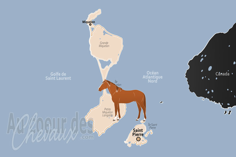 Saint Pierre et Miquelon, sentinelle des brumes de l'atlantique nord
