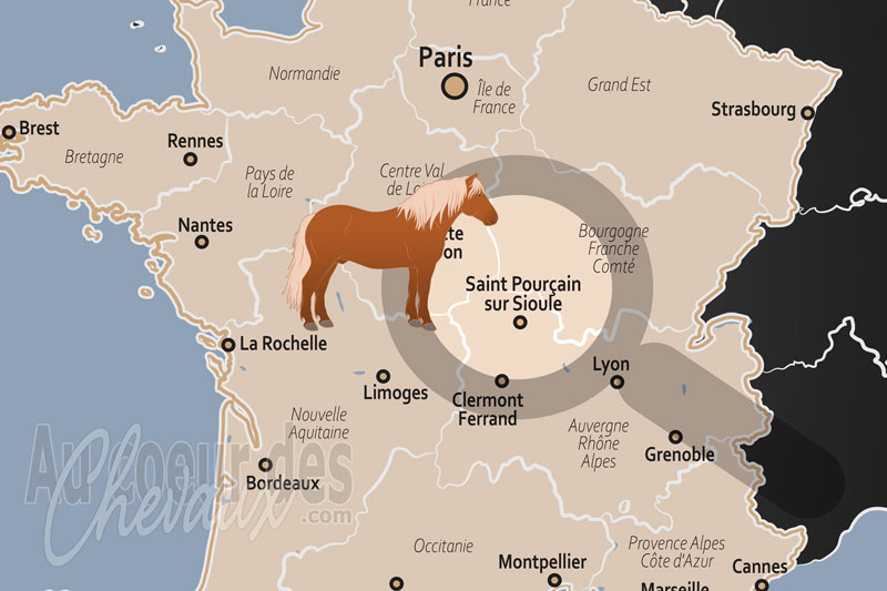 La localisation de Saint Pour�ain sur Sioule en France