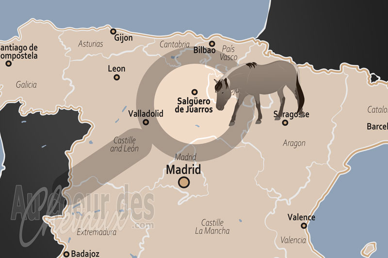 La localisation de Salg�ero de Juarros en Espagne