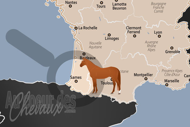 La localisation dans le pays de Sames en France