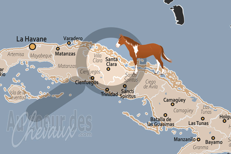 Santa Clara, le cheval comme pilier de la r�silience et de l'identit� du centre de cuba