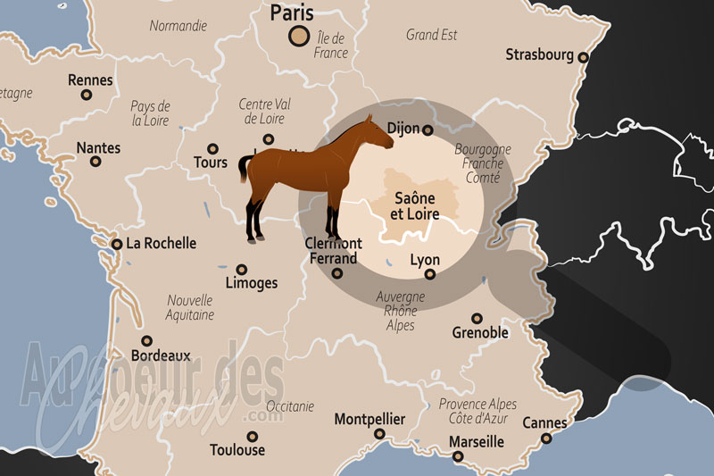 Le D�partement de la Sa�ne et Loire, cluny et l'excellence �questre au c?ur du charolais-brionnais