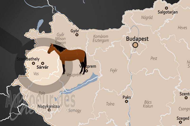 La localisation de S�rv�r en Hongrie