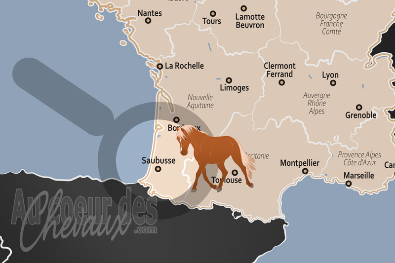 La localisation de Saubusse en France