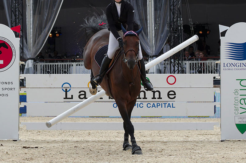 Un cheval dans une comp�tition de saut d'obstacles