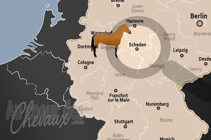 La localisation de Scheden en Allemagne