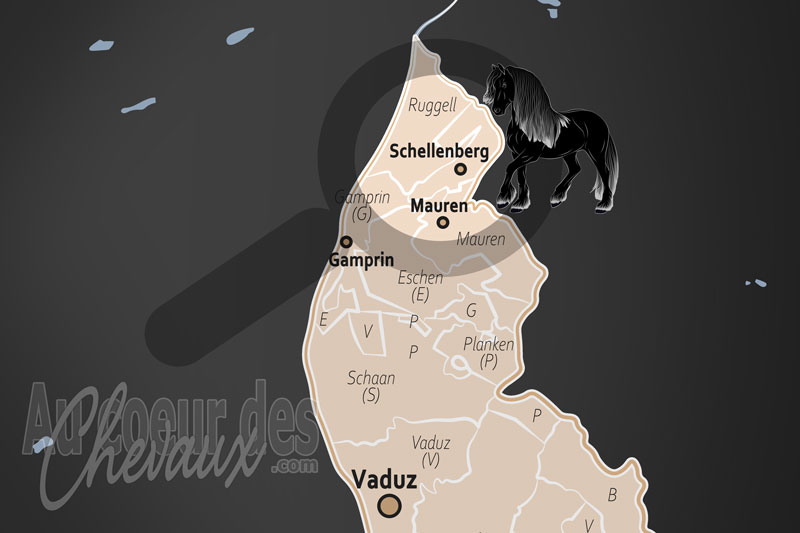 La localisation de Schellenberg au Liechtenstein