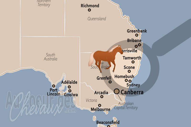 La localisation de Scone en Australie