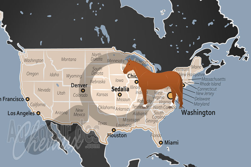 La localisation de Sedalia aux �tats Unis