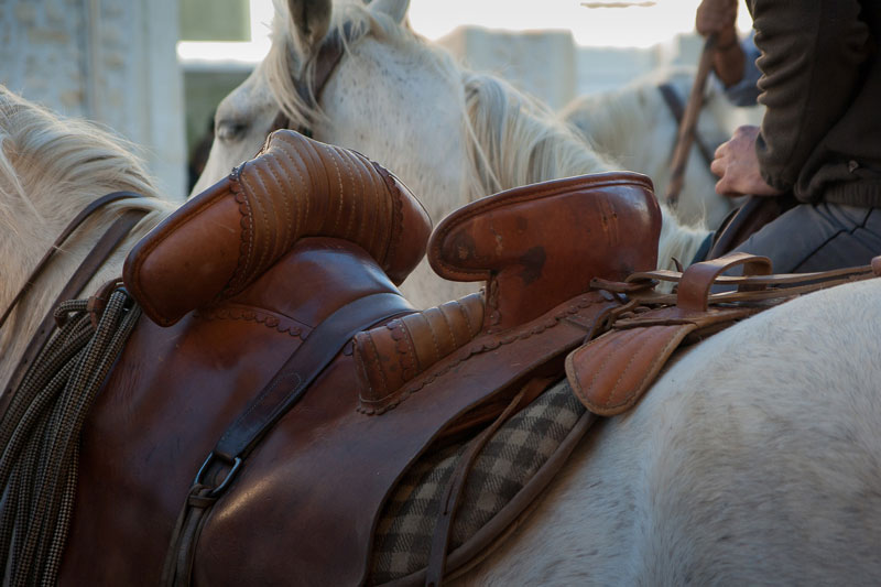 Une selle camarguaise sur le dos d'un cheval