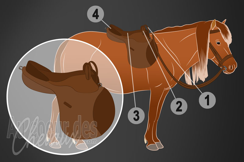 La selle d'initiation pour monter � cheval