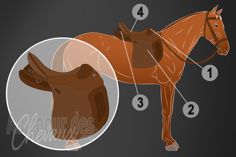 La selle de randonn�e pour monter � cheval