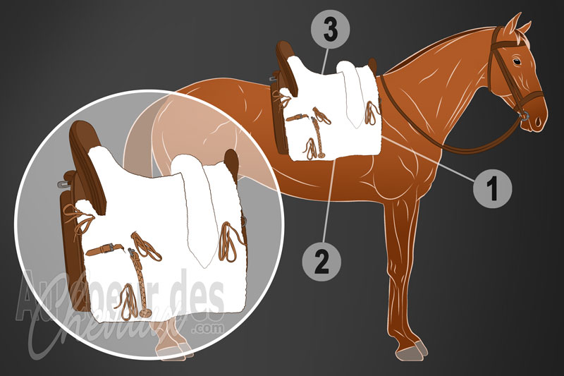 La selle de vaquera pour monter � cheval