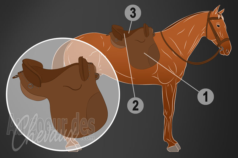 La selle espagnole pour monter � cheval