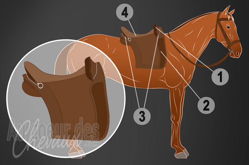 La selle portugaise pour monter � cheval