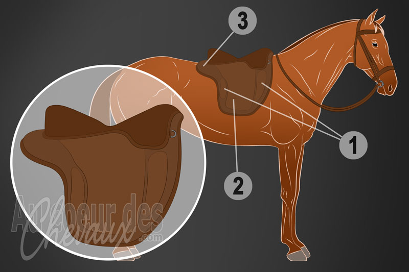 La selle sans ar�on pour monter � cheval