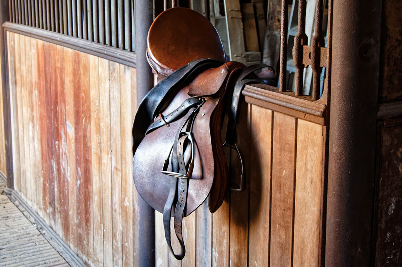 Une selle de type anglaise dans une �curie